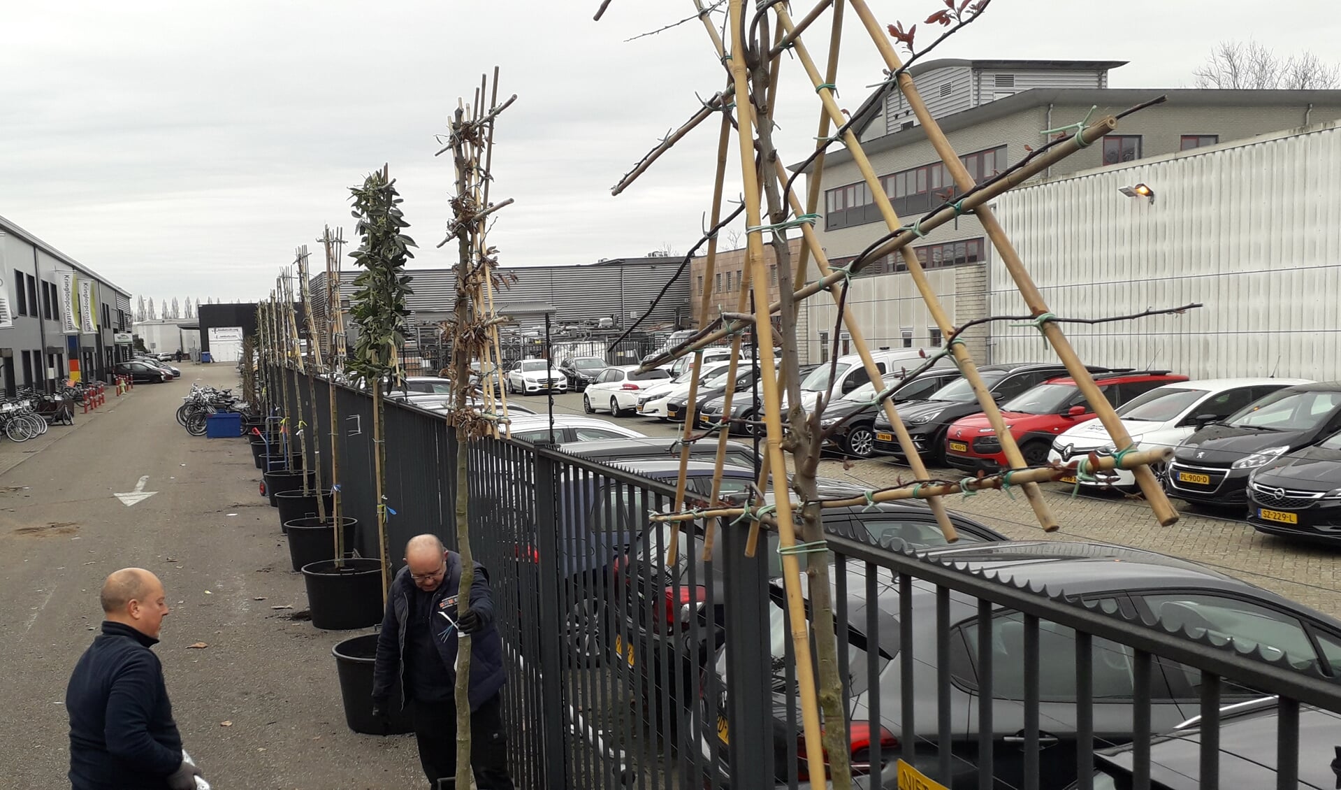 Medewerkers van het Kringloopcentrum plaatsen de bomen. 