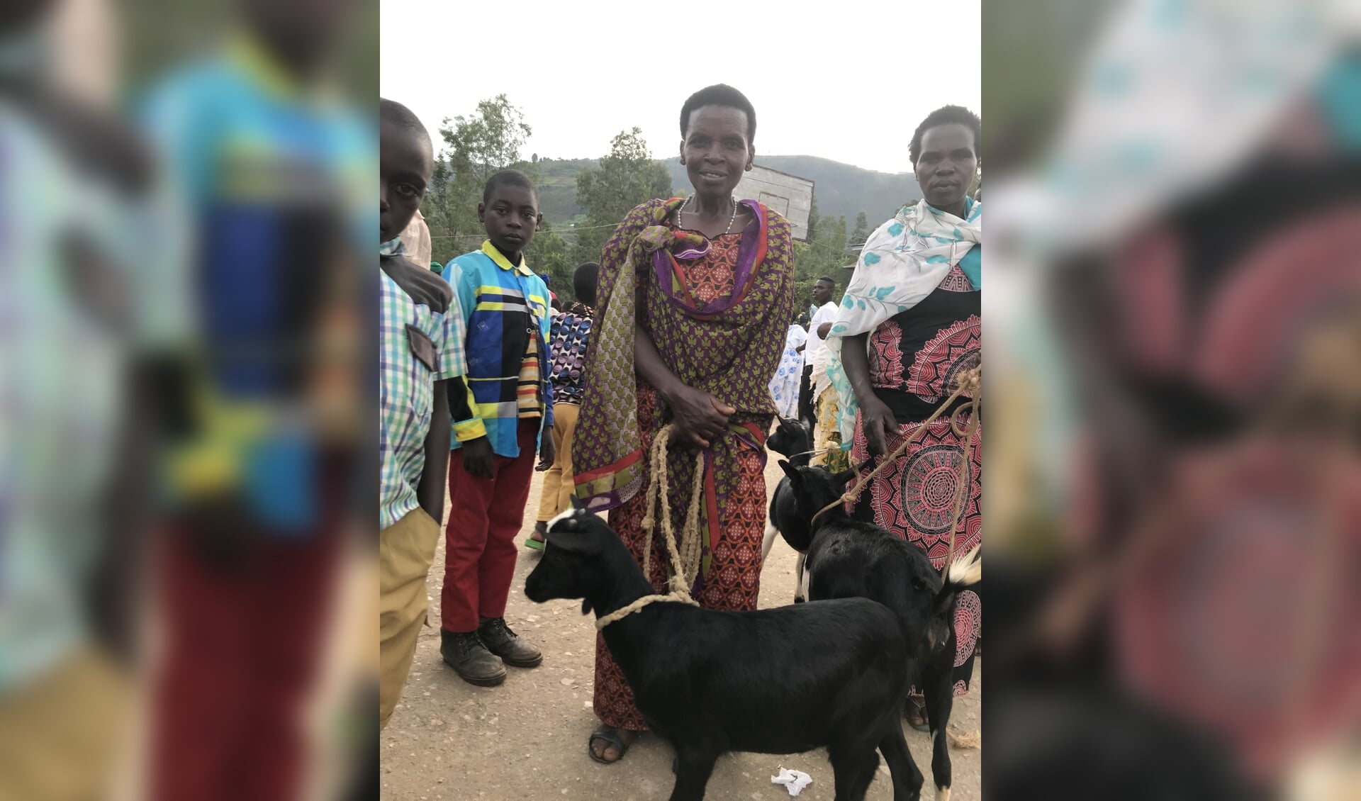 Trotse vrouwen in Rwanda met de gekregen geiten van Stichting Melania