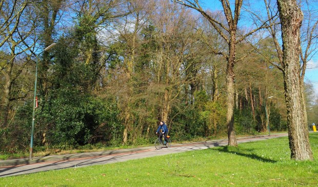 De Vereniging Leefbaarheid Doorn wil niet dat er in de toekomst woningen gebouwd worden in het Ludenbos.