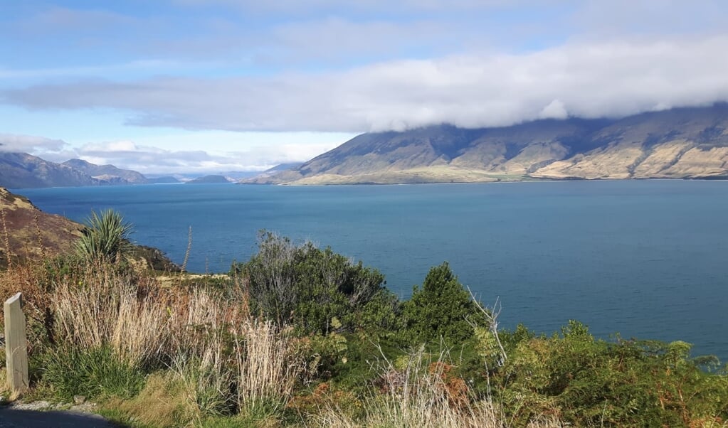 Natuur in Nieuw Zeeland