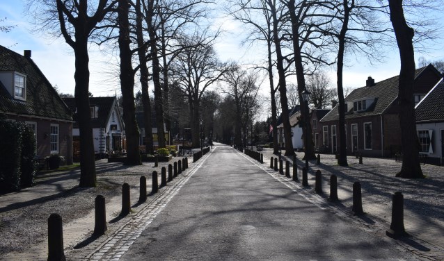 Een ongewoon straatbeeld in Lage Vuursche.