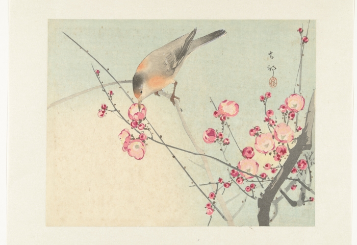 Zangvogel op bloesemtak, Ohara Koson, 1900 - 1936