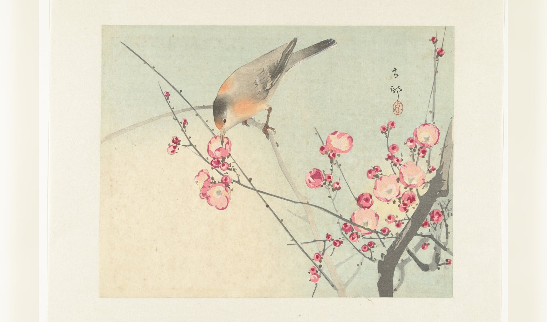 Zangvogel op bloesemtak, Ohara Koson, 1900 - 1936 