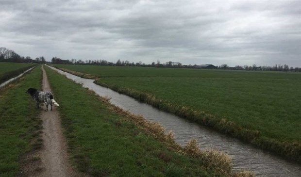 Let op: het broedseizoen begint