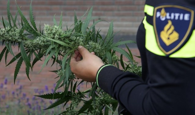 Leegstaande schuren zijn onder meer interessant voor hennepteelt (archieffoto).