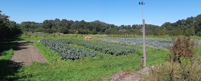 Een blik op Tuinderij VosBeek