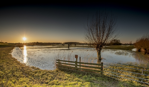 archief beeld
