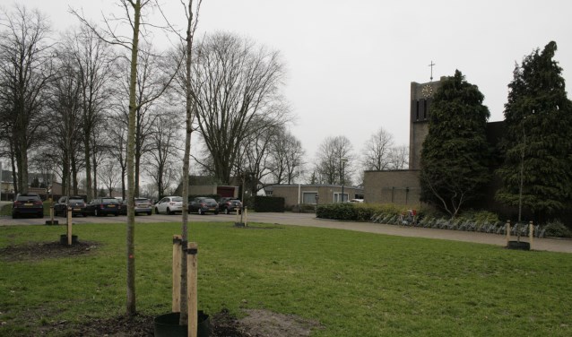 Februari 2019 plantte de gemeente bomen bij de kerk in Odijk
