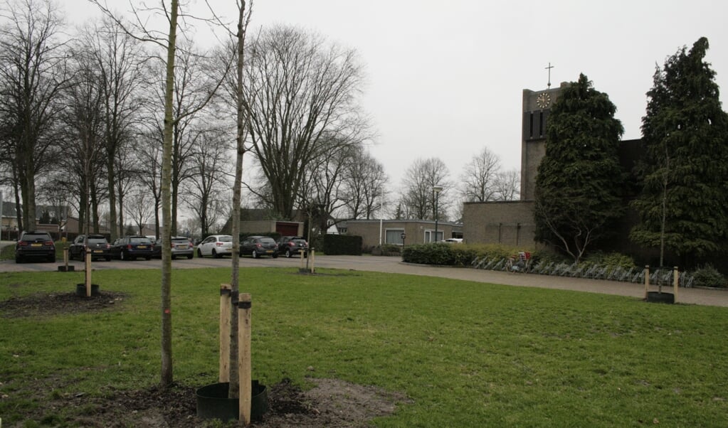 Februari 2019 plantte de gemeente bomen bij de kerk in Odijk