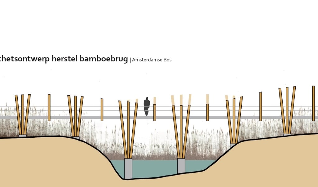 Het ontwerp van de Bamboebrug.
