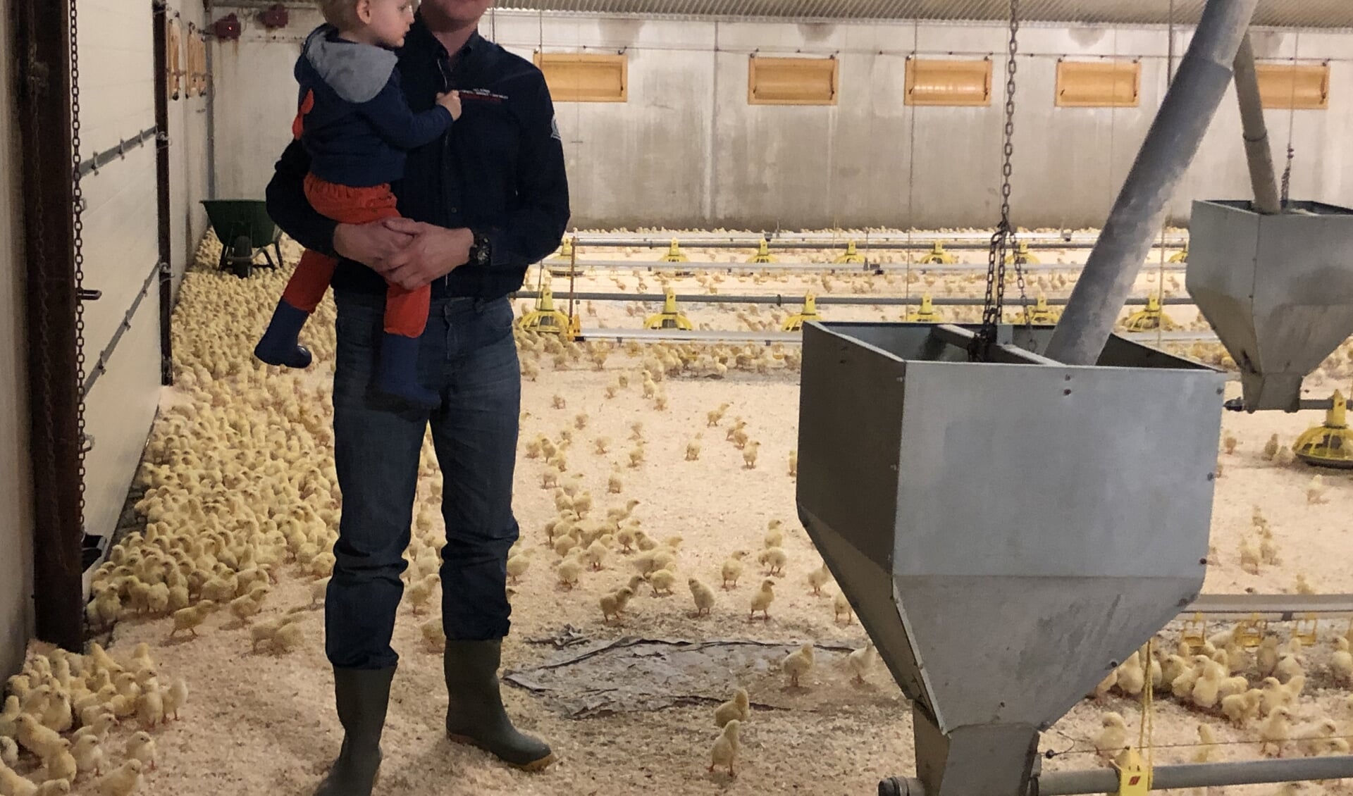 Heimo van Deuveren in de stal waar net weer jonge kuikens zijn.