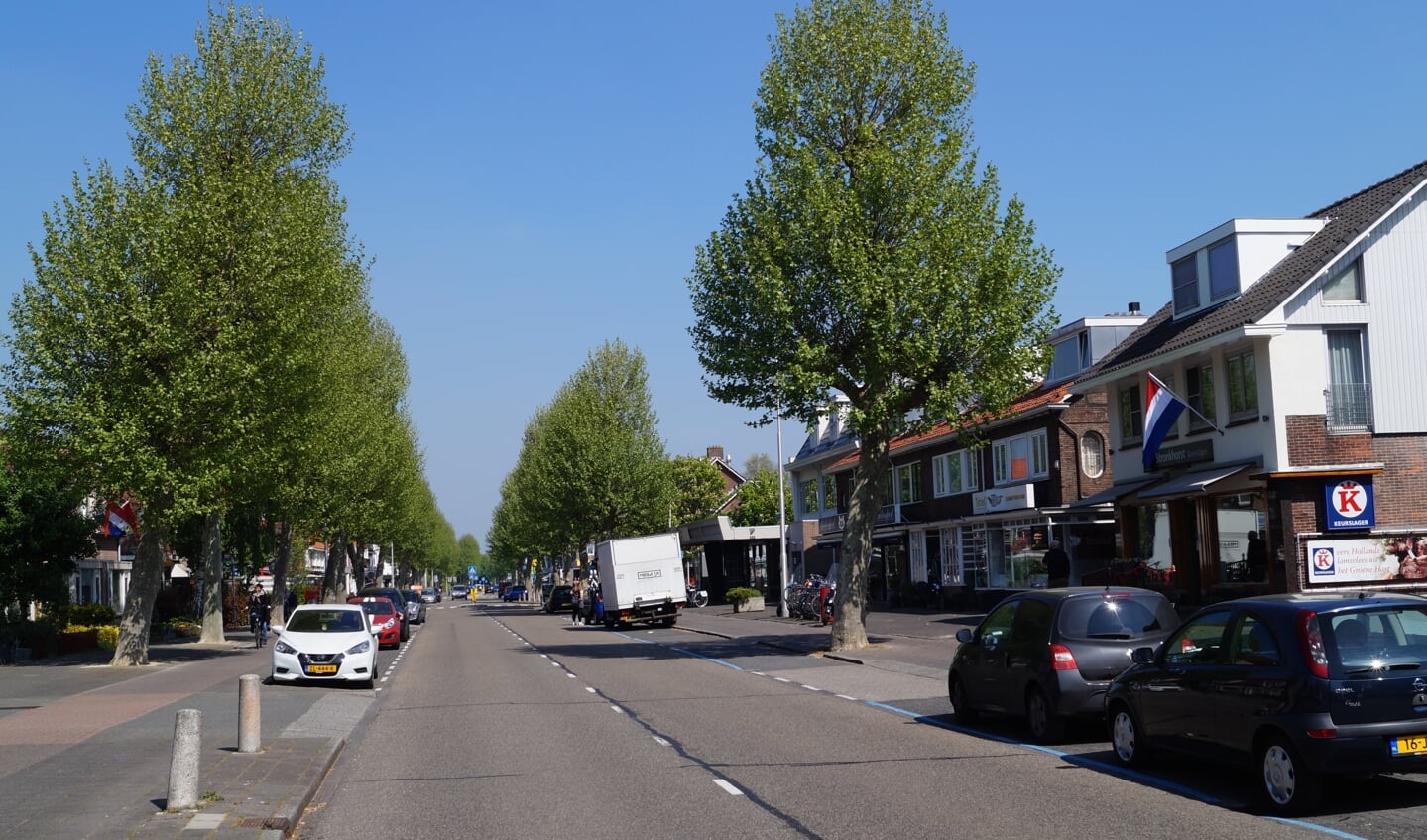 De Amsterdamseweg-zuid.