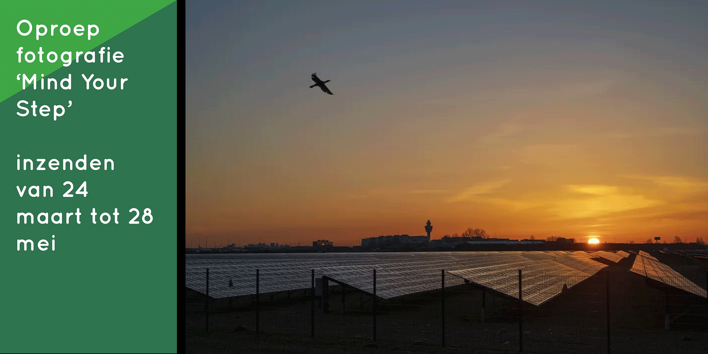 Ondergaande zon