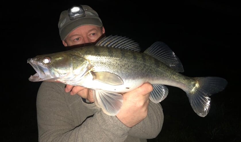 Snoekbaars