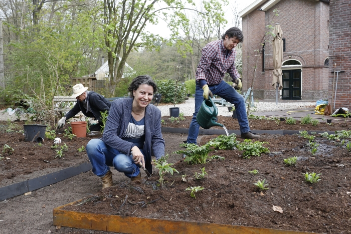 De laatste planten van de voorbeeldtuin worden in de grond gezet
