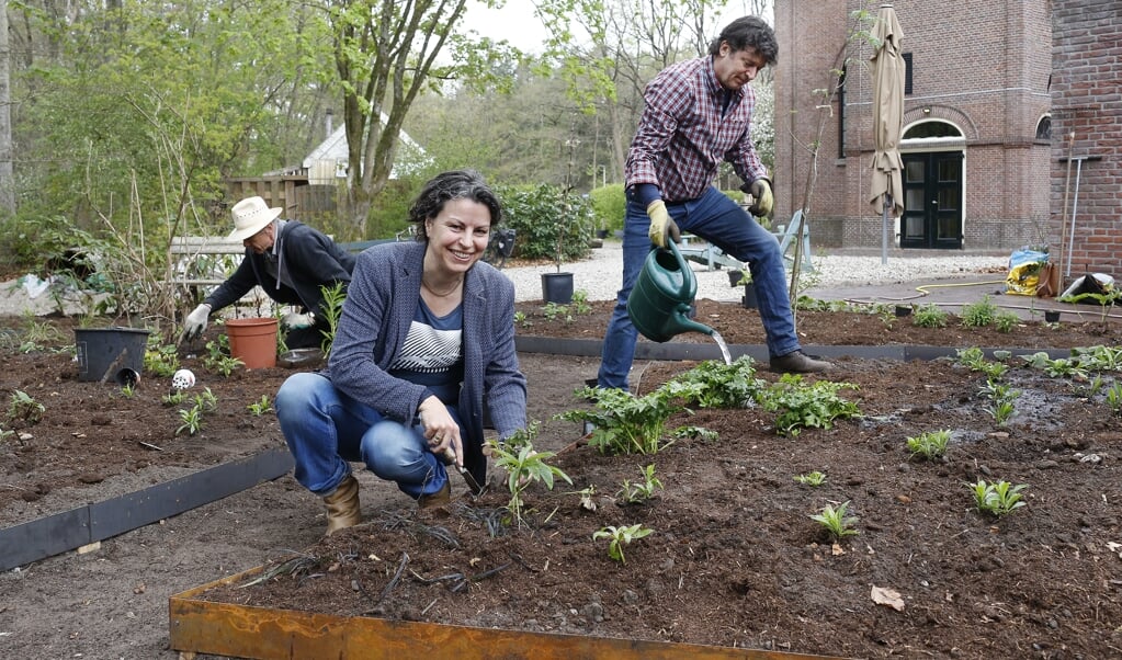 De laatste planten van de voorbeeldtuin worden in de grond gezet