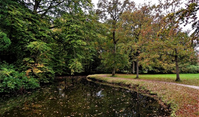 Elswout