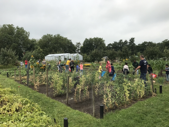 schooltuin ala 2019 is niet COVID19-proof