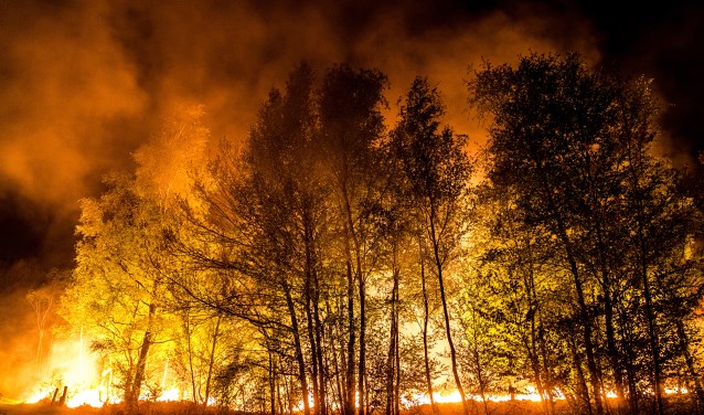 2020-04-22 03:43:44 DEURNE - Vuurhaarden bij zeer grote natuurbrand in de Mariapeel nabij Deurne. De hulpdiensten hebben noodscenario GRIP-3 afgekondigd en diverse huizen in Liessel en Griendsveen geëvacueerd. Foto: Rob Engelaar / Hollandse Hoogte