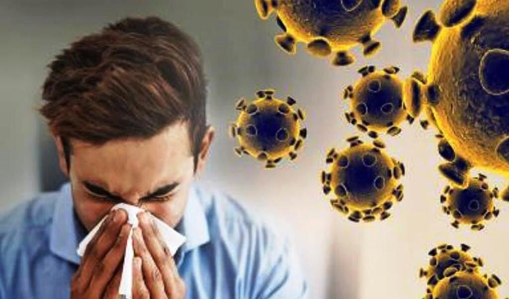 De ziekte veroorzaakt luchtwegklachten met symptomen zoals hoesten, koorts en (in ernstigere gevallen) ademhalingsproblemen.