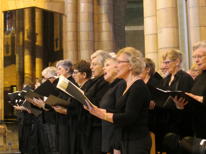 Het Voice Company kamerkoor