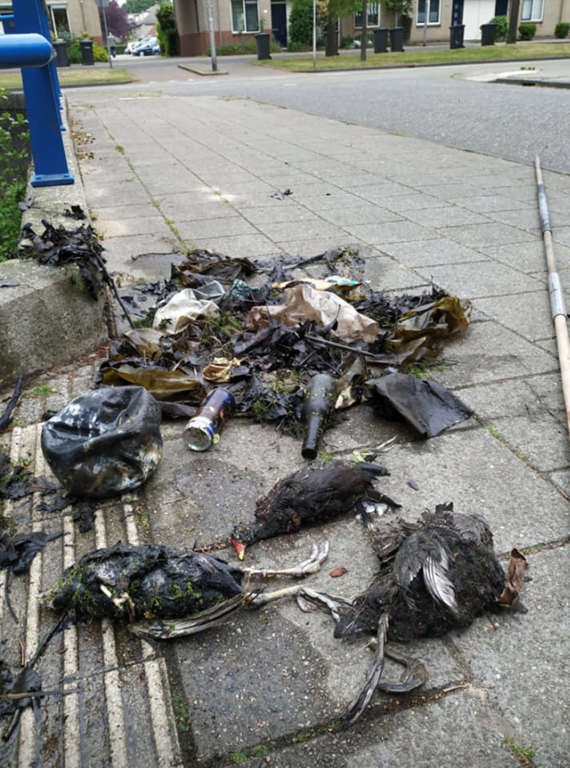 Eigen foto