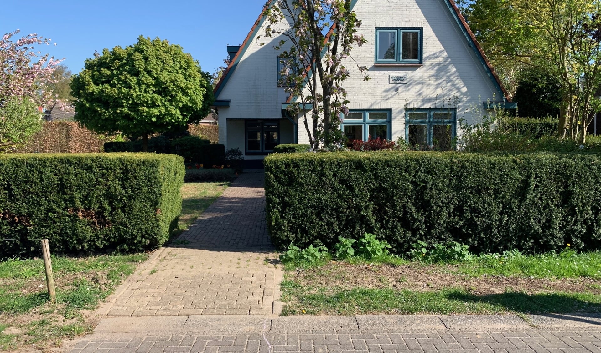 De plek nabij Korenmolen 7 waar de struikelsteen zal komen te liggen