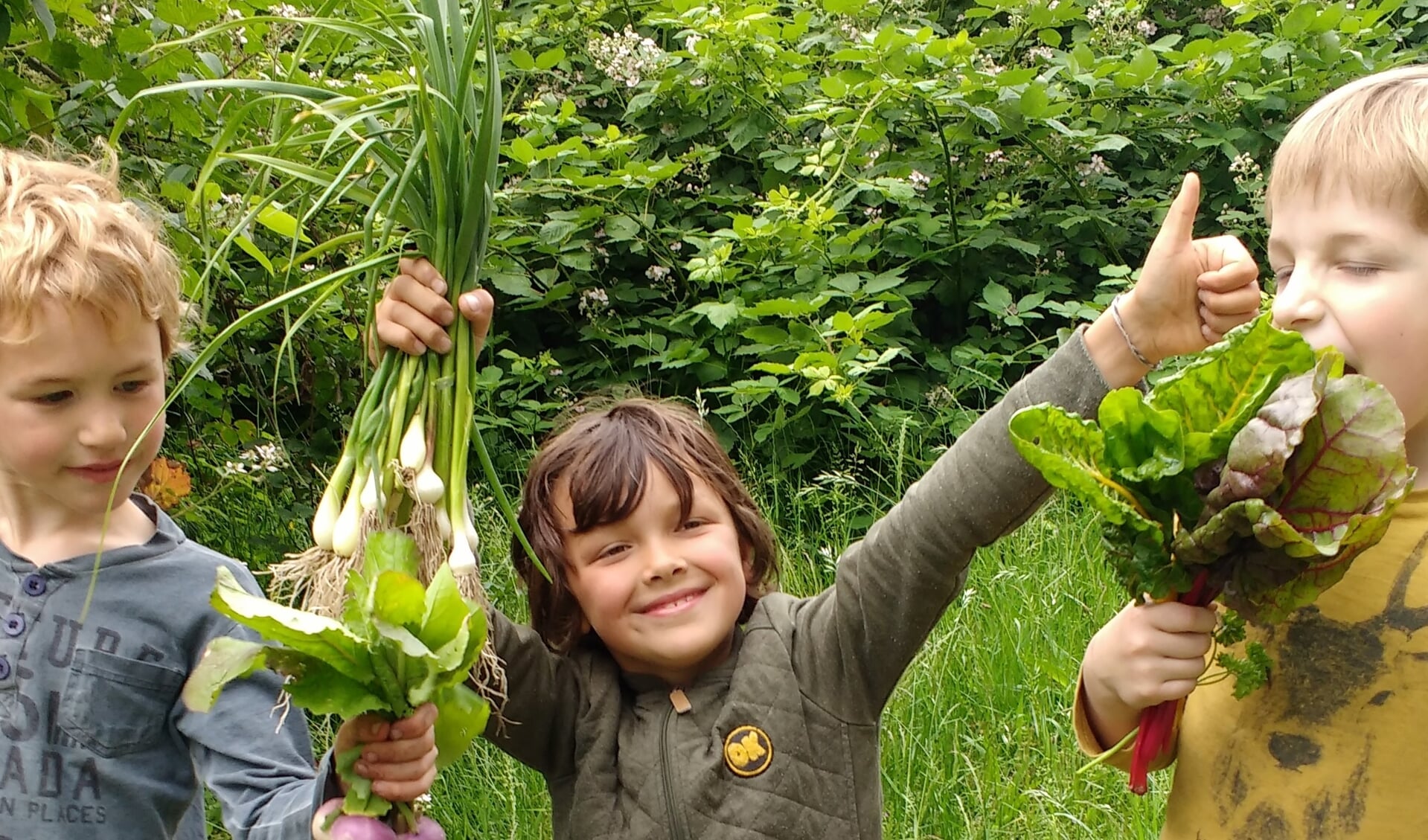 kinderen genieten van de oogst van tuinderij de Wilde Peen