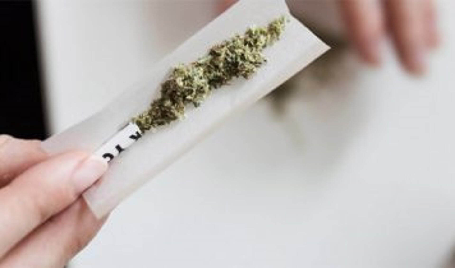 SP en D66 willen thuiskweek gedogen voor mensen die cannabis om gezondheidsredenen gebruiken