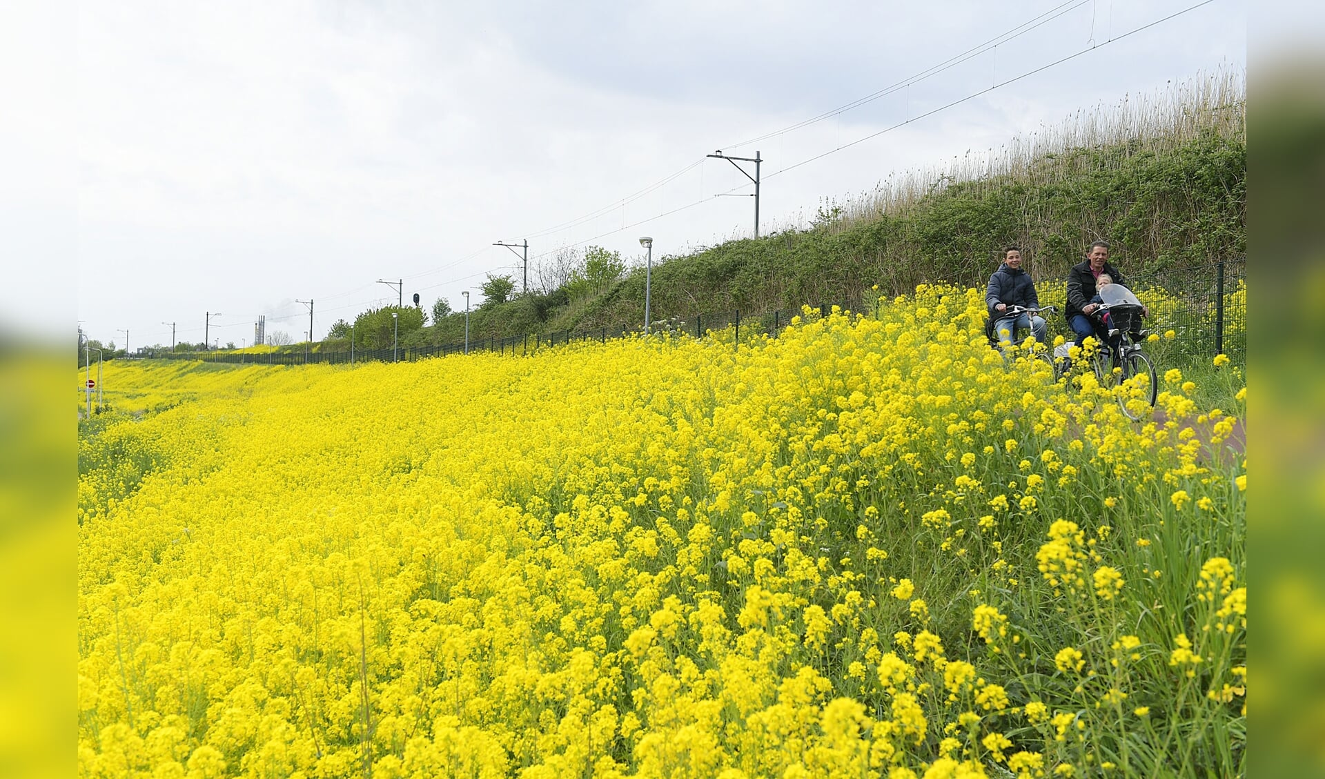 Bloemenzee spoordijk