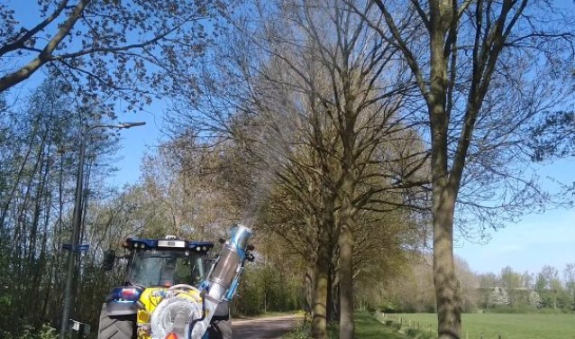 Bestrijding eikenprocessierups