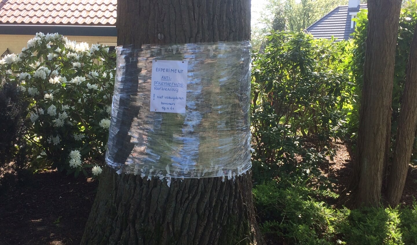 Plastic huishoudfolie rond eikenboom