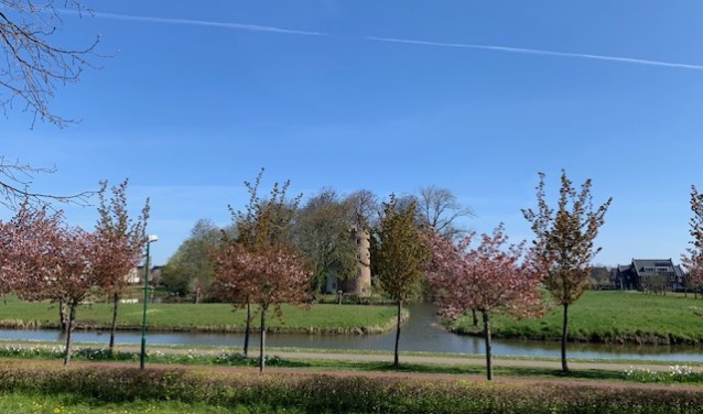 Picknick in Houten