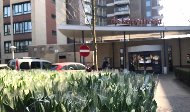 Tulpen voor De Koperhorst