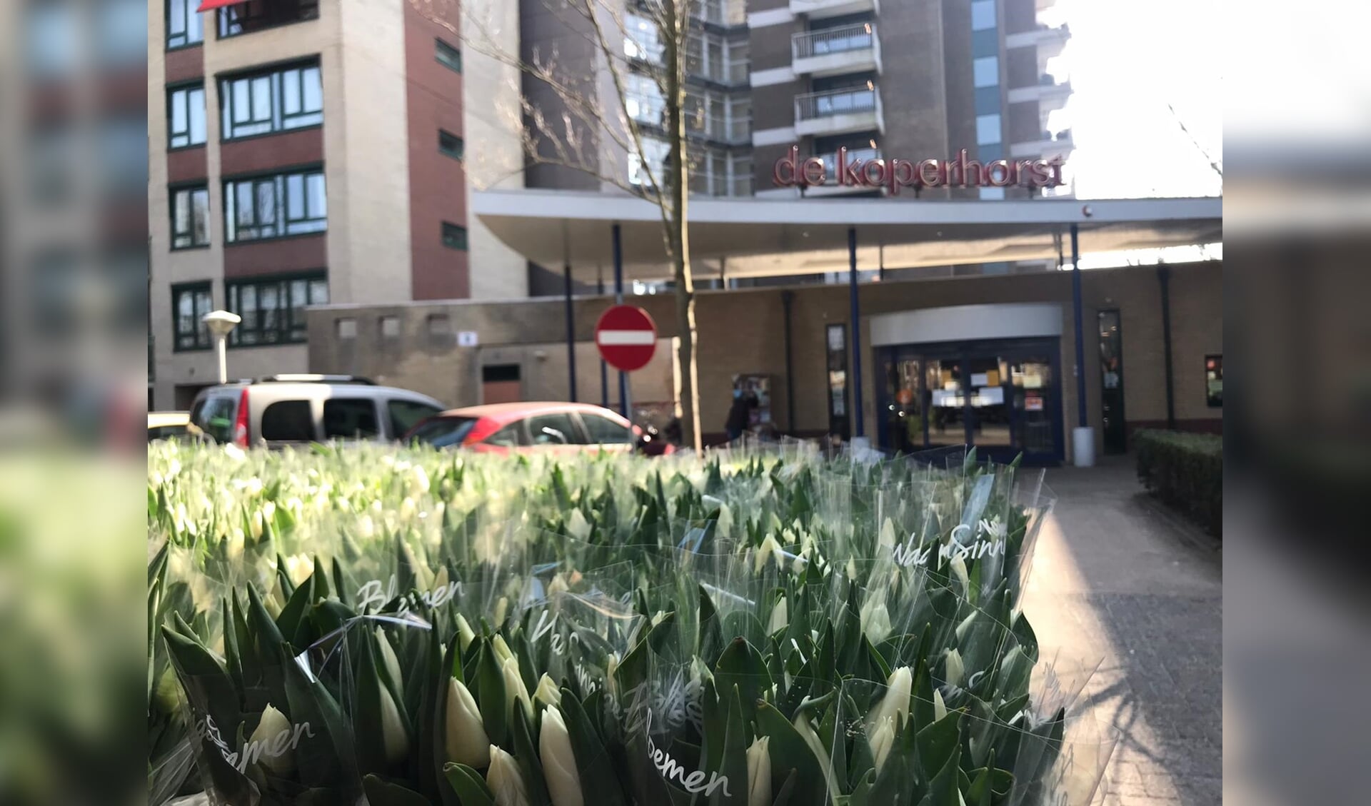 Tulpen voor De Koperhorst