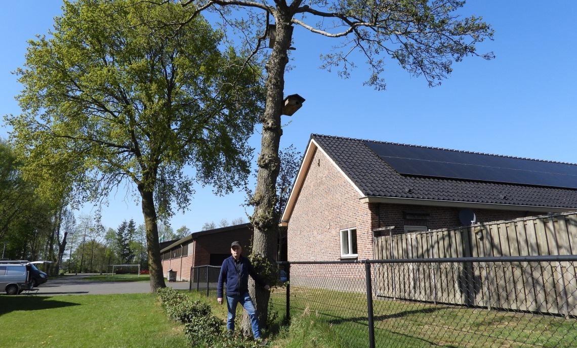 Kees van Reenen