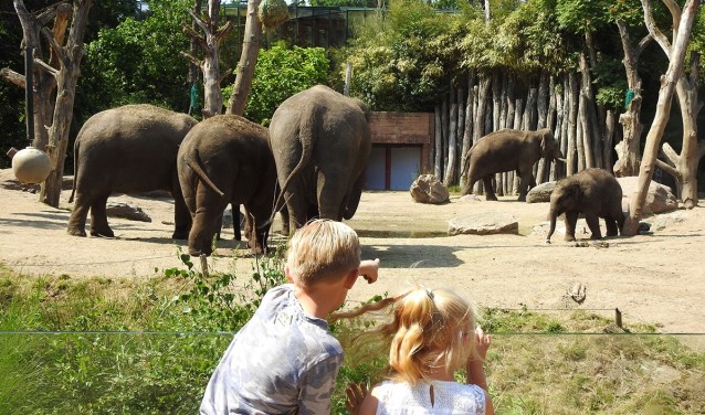 in de dierentuin: 'We houden ook rekening met minder positief | destadamersfoort
