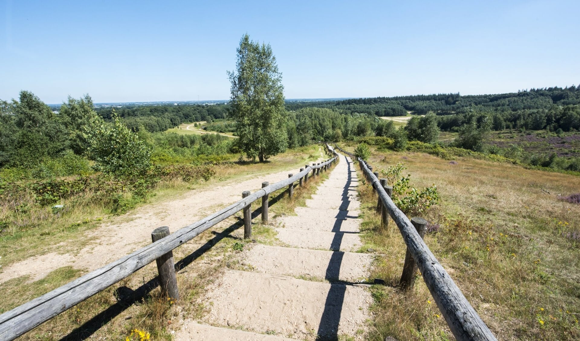 #Trotsopdeheuvelrug: De regio ontdekken vanuit huis.