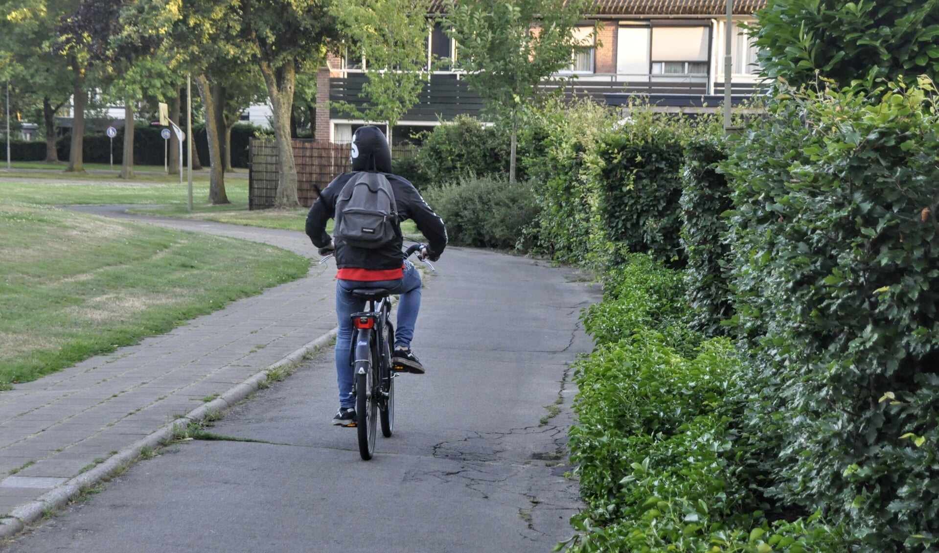 Archieffoto fietspad tussen Nijenbeek en Neerijnen.