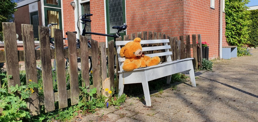 Beren laten zich zien in Houten | Houtens Nieuws | Nieuws ...