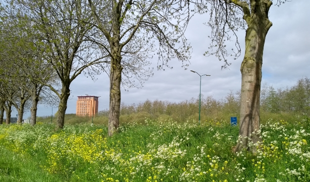 <p>Nederlanders gaan steeds vaker een weekendje weg</p>