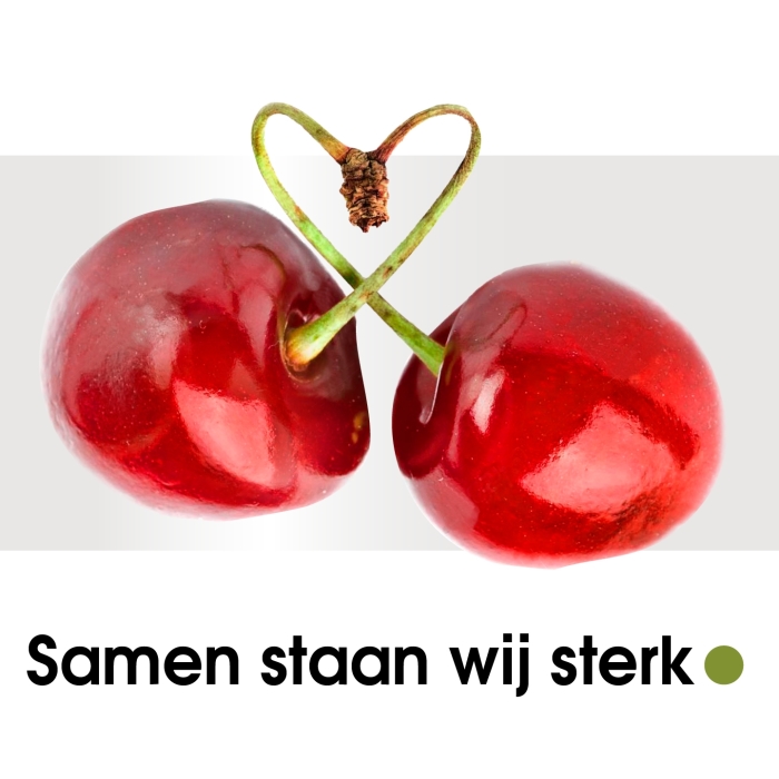 Cherry doneert mondkapjes met jullie hulp.