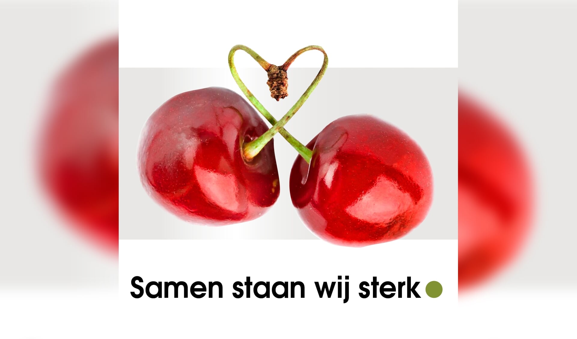 Cherry doneert mondkapjes met jullie hulp.