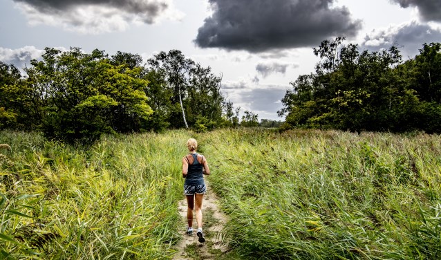 Buiten sporten in park of bos.