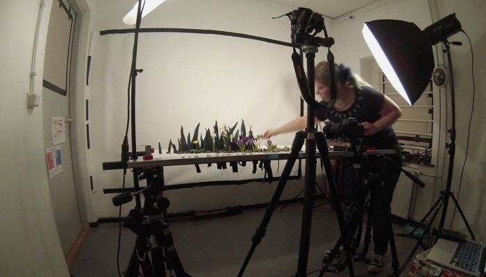 stop motion filmen