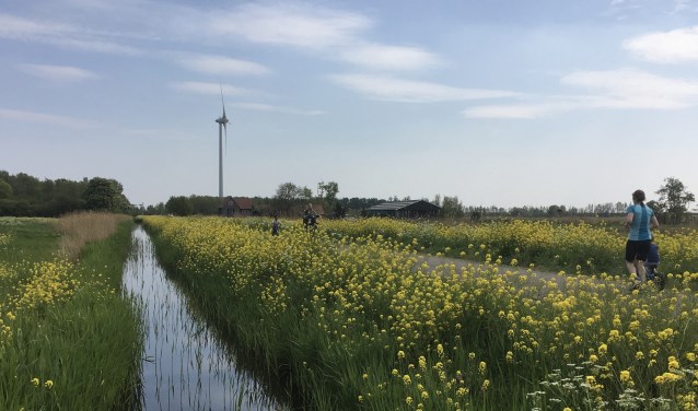 Het zoekgebied tussen A2 en Ouderkerkerplas. Op de achtergrond windmolen De Amstelvogel.