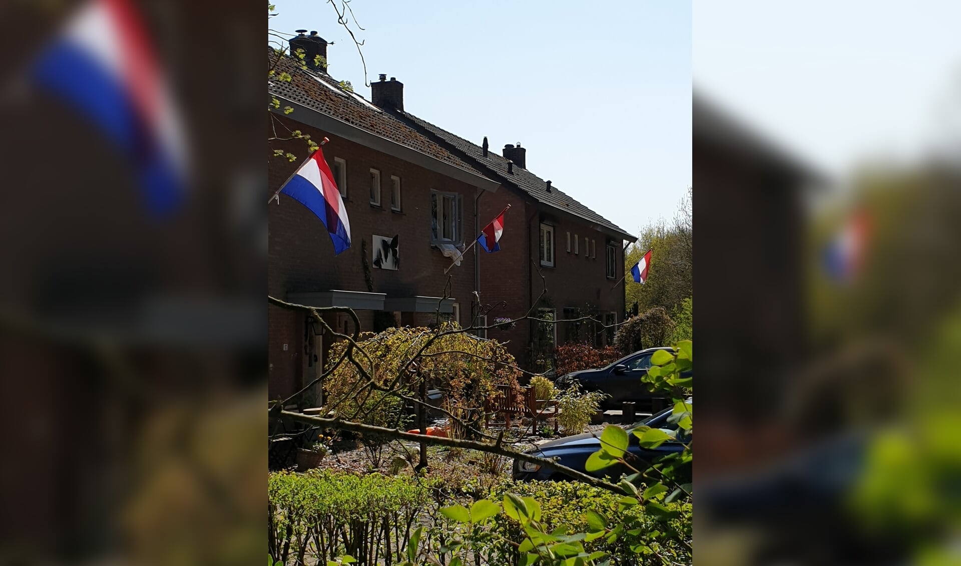 Vlaggen op De Bult in Kootwijk.
