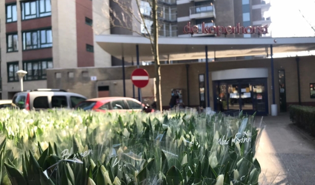 <p>Tulpen voor De Koperhorst.</p>