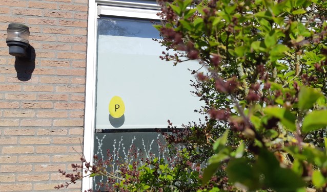 Paasactie