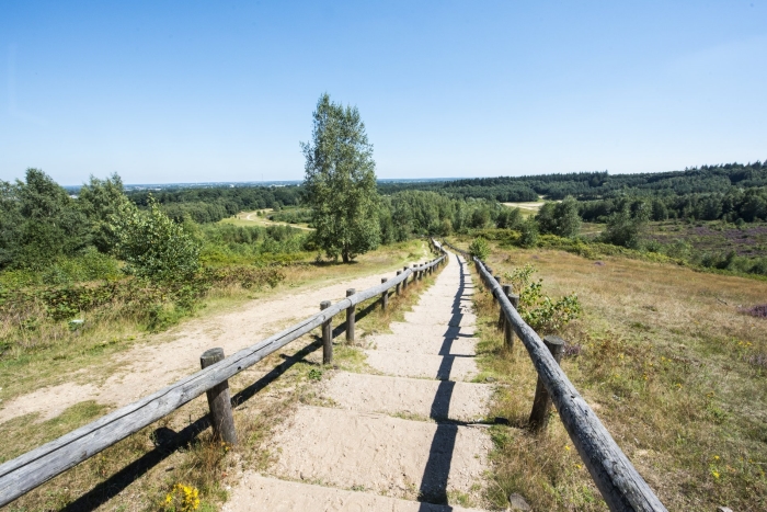 #Trotsopdeheuvelrug: De regio ontdekken vanuit huis.